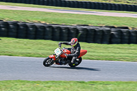 enduro-digital-images;event-digital-images;eventdigitalimages;lydden-hill;lydden-no-limits-trackday;lydden-photographs;lydden-trackday-photographs;no-limits-trackdays;peter-wileman-photography;racing-digital-images;trackday-digital-images;trackday-photos